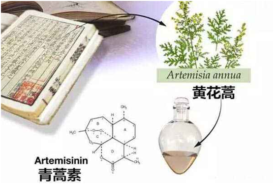 澳洲5官网,澳洲5（中国）：向中医药看齐，与世界共享中医药文化(图1)